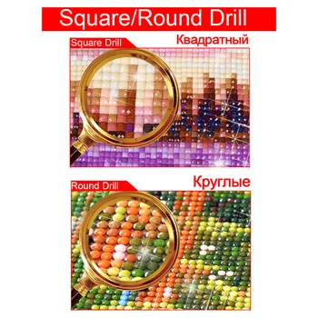 DIY-Diamond-Painting-cartoon-library-Cross-Stitch-Wall-Sticker-diamond-Embroidery-Animal-Resin-Square-Diamond-Mozaik LK1 4