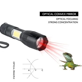 AmmToo Mini COB LED Svetilka T6 Lanternas Led Svetilko Bliskavica, Vodotesna 4 Načini Prenosni Torcia Luči za Kampiranje na Prostem 0