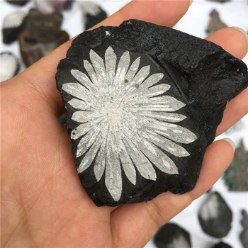 Naravni quartz crystal chrysanthemum kamen, mineralne vzorcu točke zdravljenje doma dekor 0