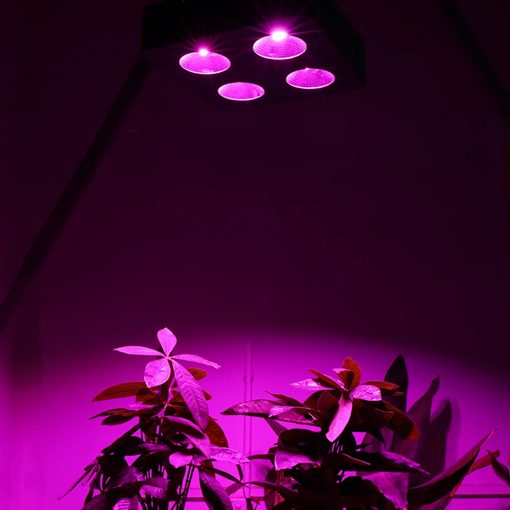 2pcs/veliko 1000W LED Grow Light COB Celoten Spekter Ffs Lučka za Rastline Vegs Zaprtih Hydroponics Rastejo Šotor Toplogrednih Raste Svetlobe 5