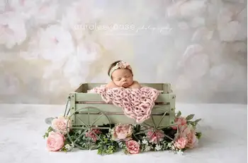 Povzetek Cvetlični Fotografija Ozadje Novorojenčka Rose venčni Ozadje za foto studio cvetje Fantasy foto ozadje 0