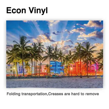 Allenjoy Miami Beach fotografija ozadje Florida geografija dreves ocean lepa aurora ozadju photophone za foto studio 2